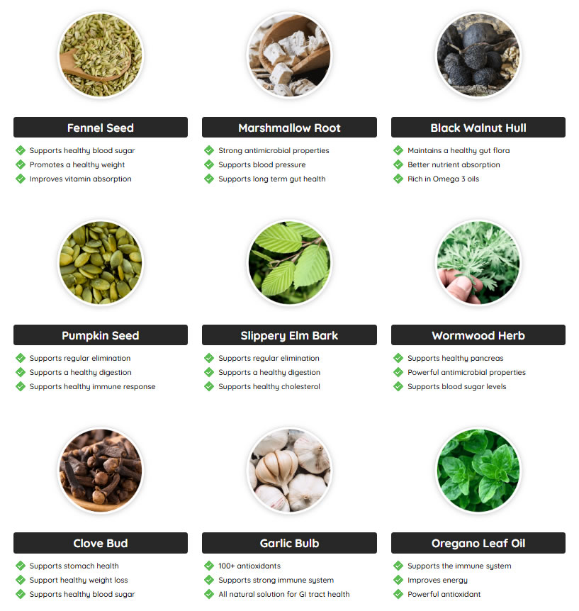 Is GlucoFlush a Scam? Review + Customer Reviews!