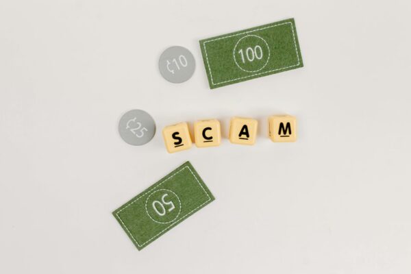 fraudulent investment scheme explained